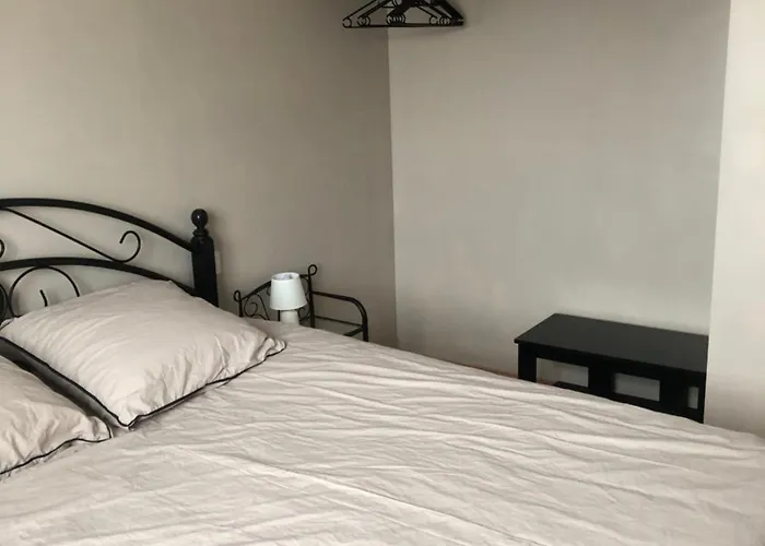 Chez Sophie Et Bernard 3* Saverdun